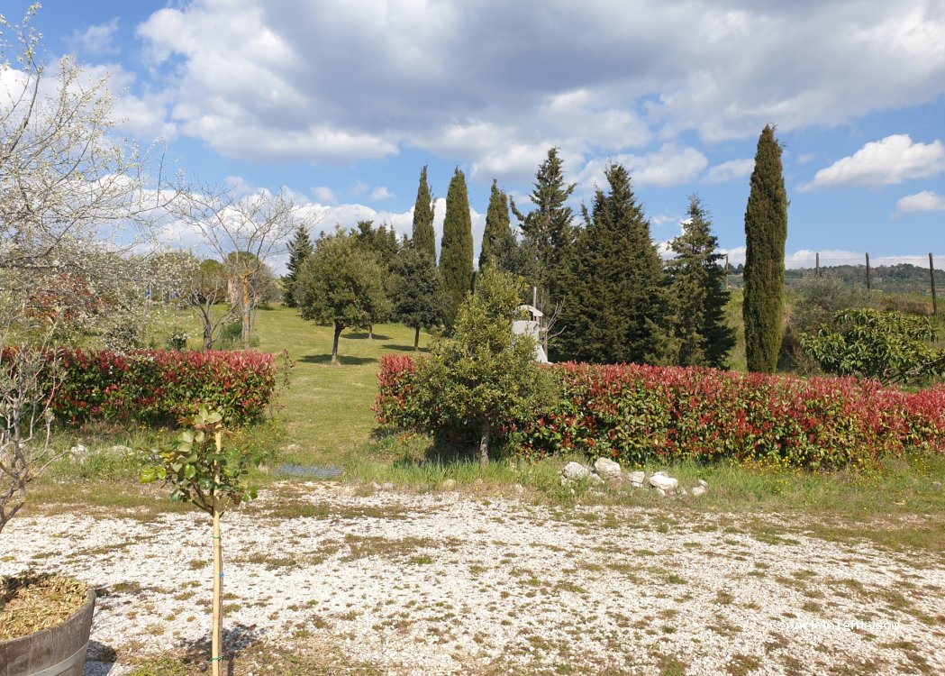 La Fornace — foto 3