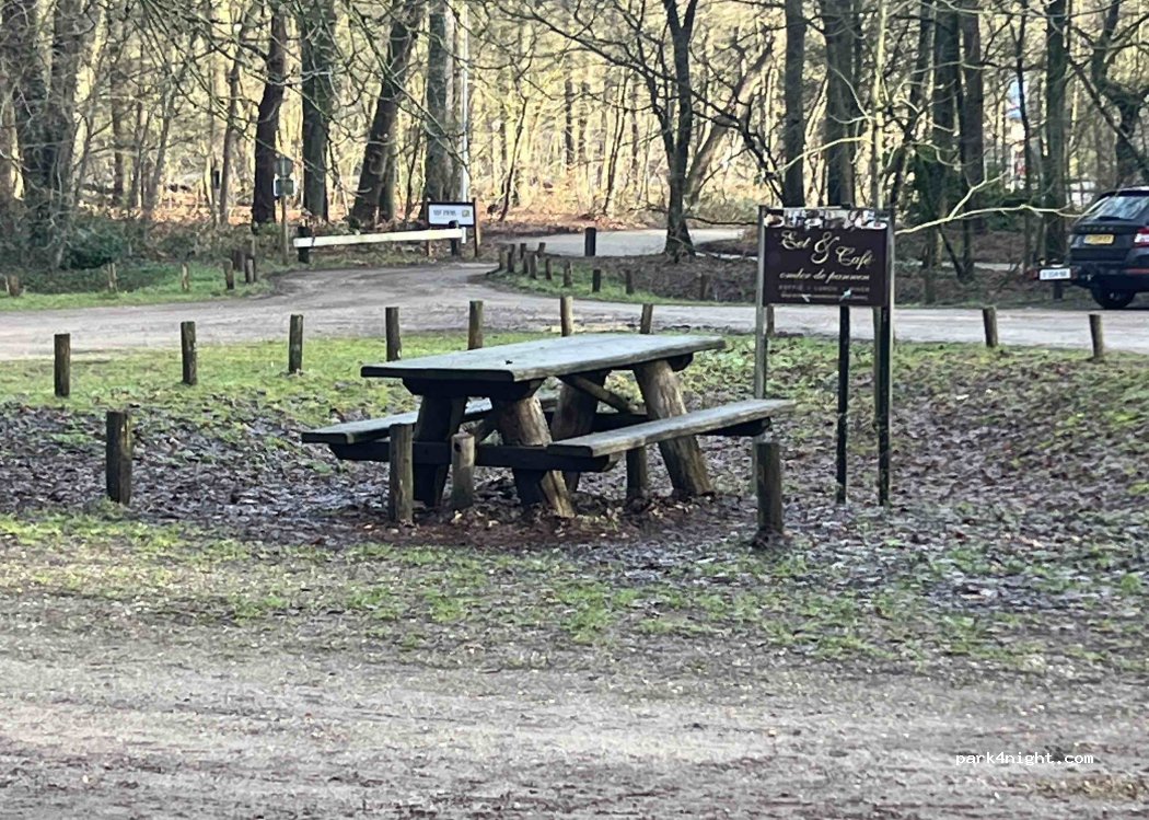 (3951LH) Utrechtse Heuvelrug - Bergweg — foto