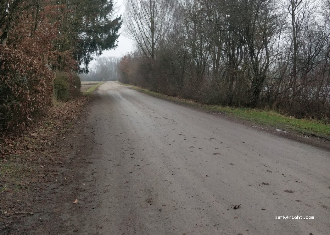 (89312) Günzburg - Langerseeweg — foto