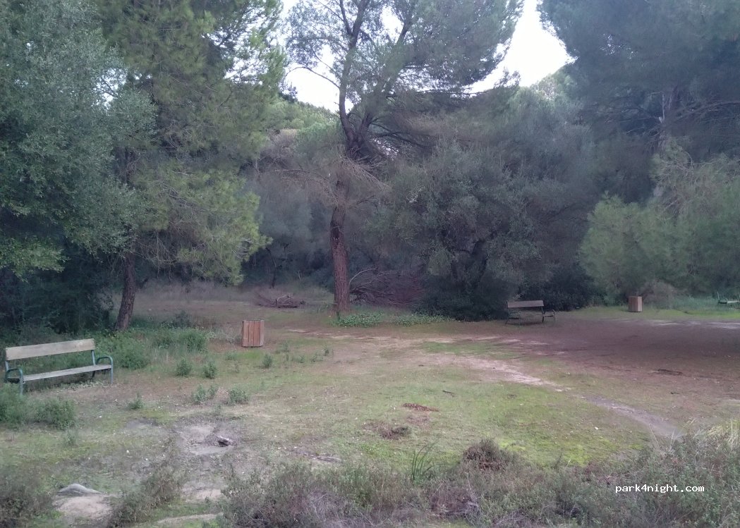 (41849) Aznalcázar - — foto 3