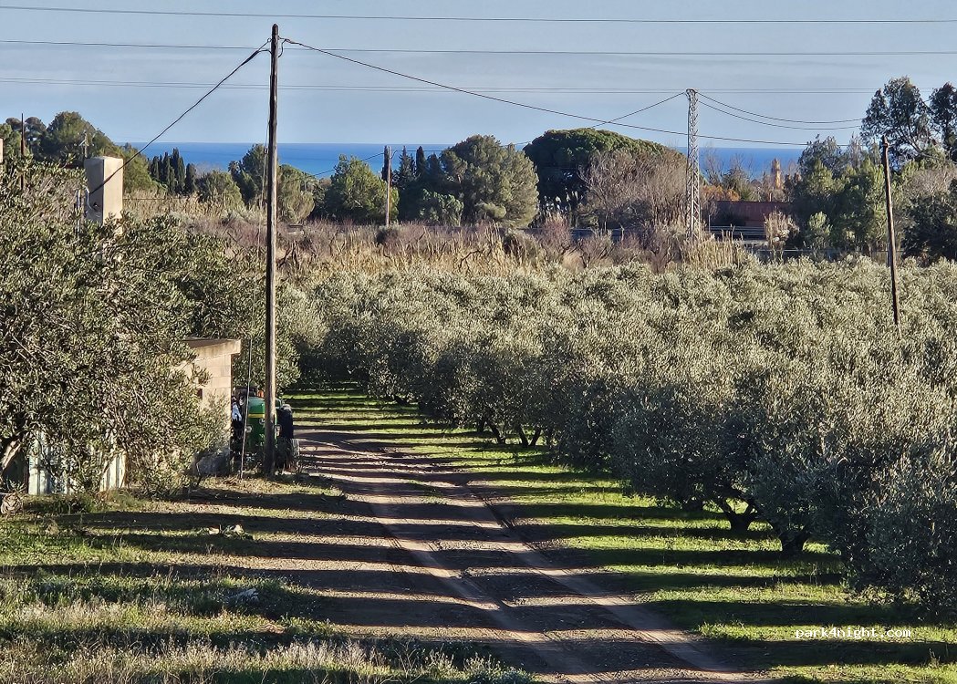 Casa Rural Mas Rota Vella — foto 4