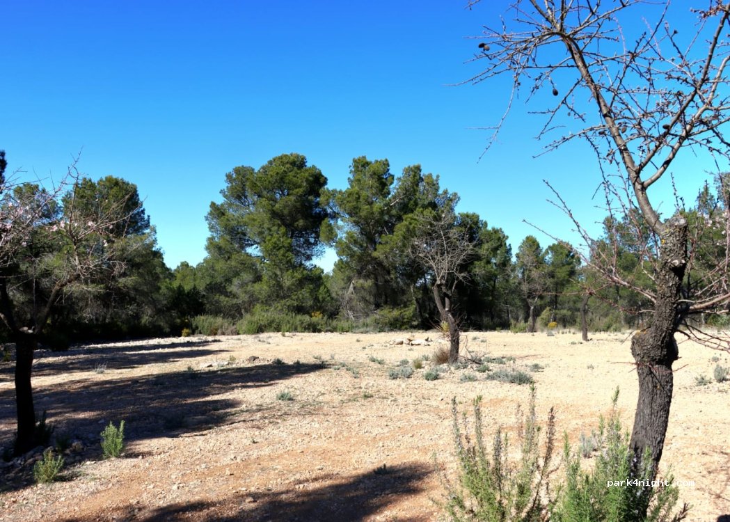 Camperspot mayana! — foto 3