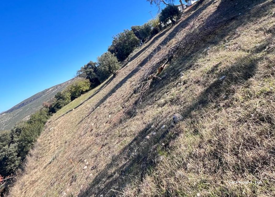 GP Cortijo Palmera — foto 2