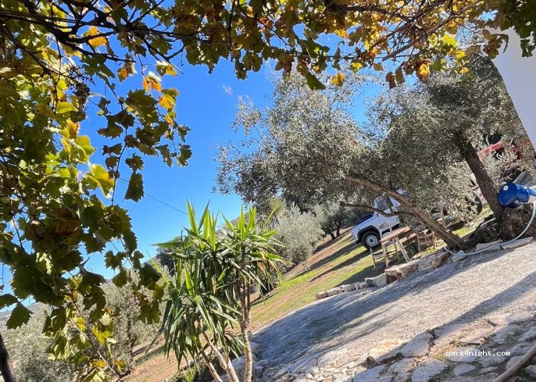 GP Cortijo Palmera — foto 3