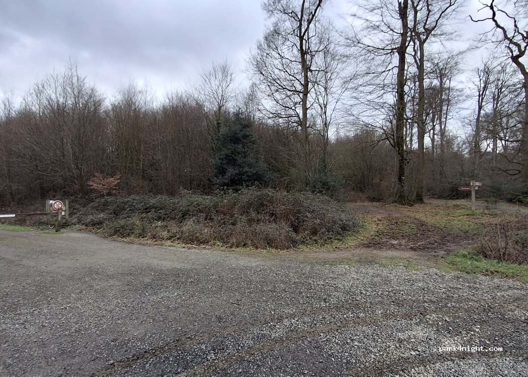 (35830) Betton - Ligne Forestière de Betton — foto