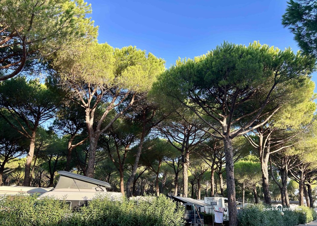 Camping Village Mareblu — foto 5