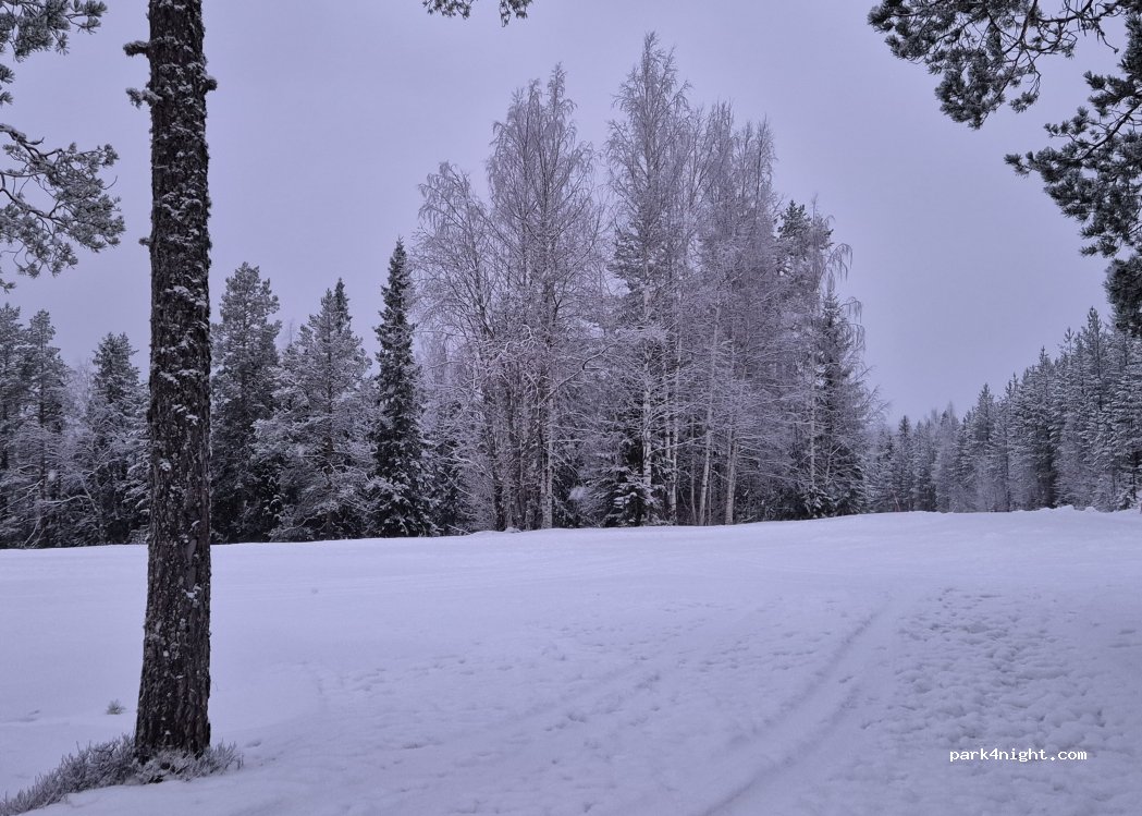 (914 91) Nordmaling District - — foto