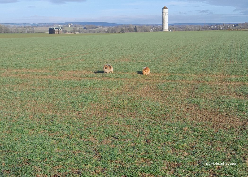 (89600) Germigny - Chemin dit du Piot — foto