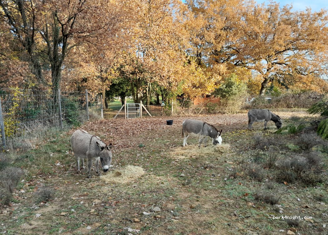 LES 3 HIRONDELLES — foto 3