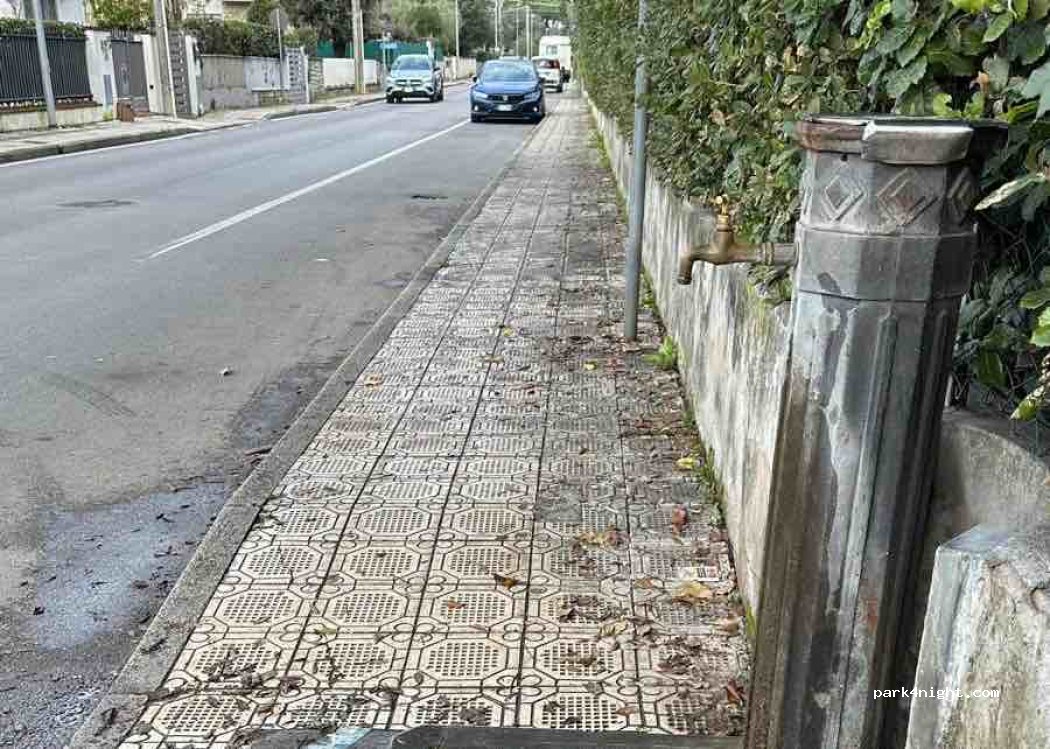 (55043) Camaiore - Via Trieste — foto