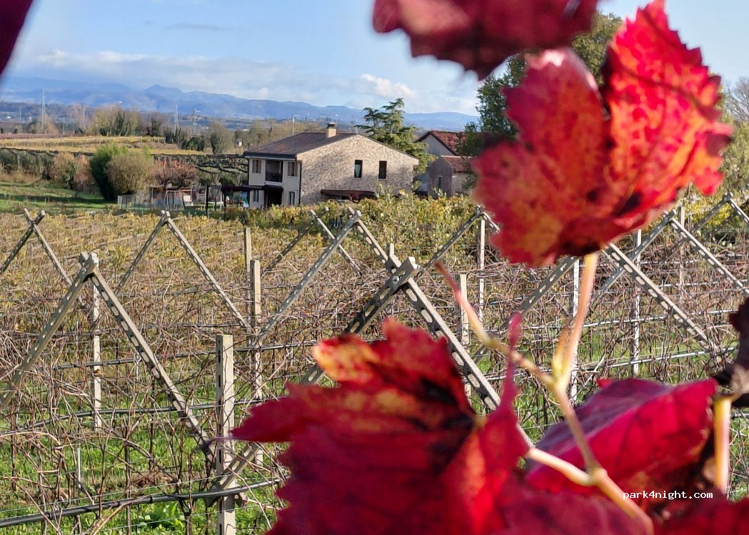 Le Vigne del Moretto — foto