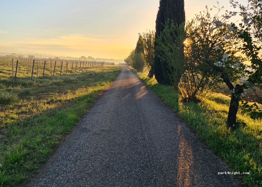 Le Vigne del Moretto — foto 2