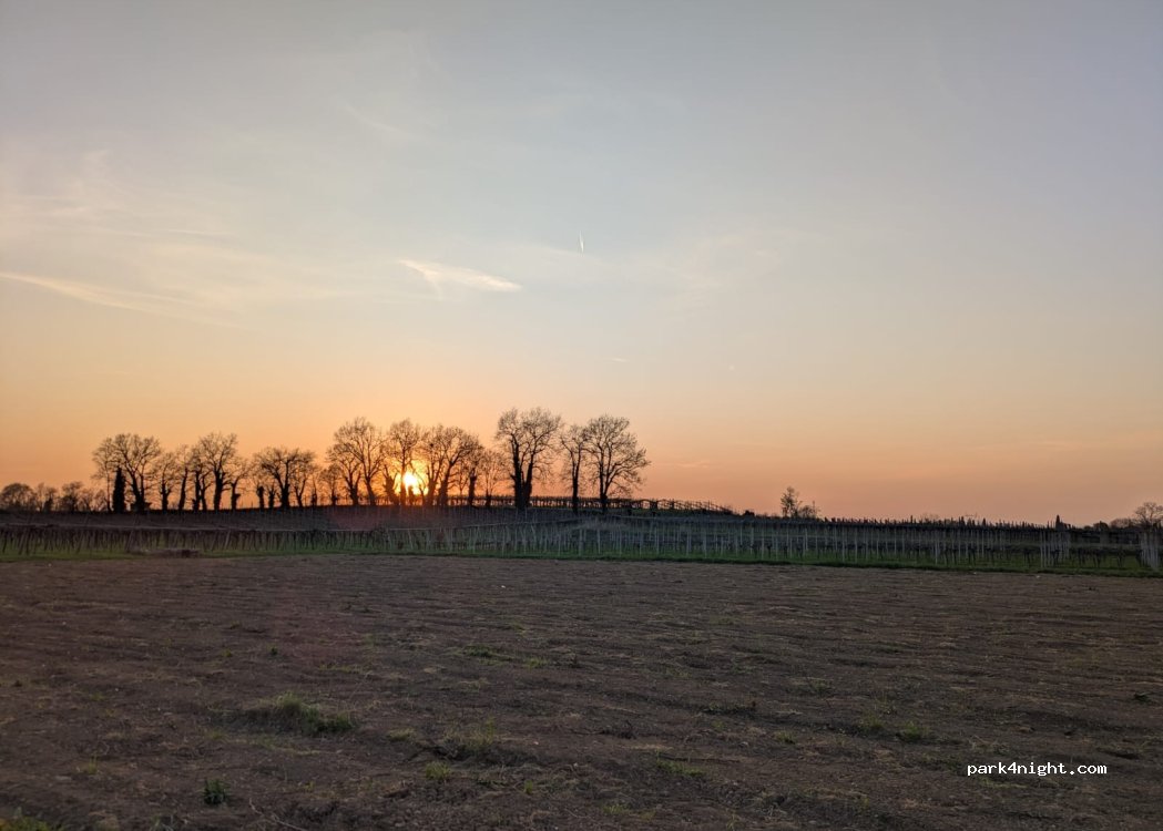 Le Vigne del Moretto — foto 5
