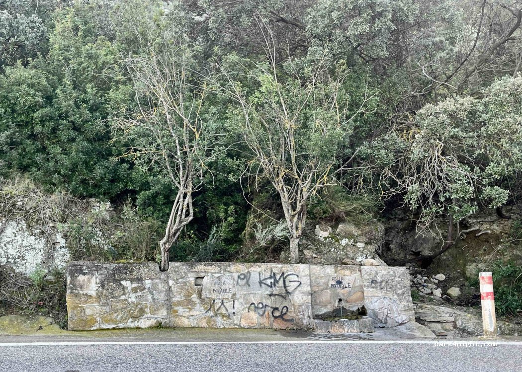 (04271) Lubrín - AL-6109 — foto 3