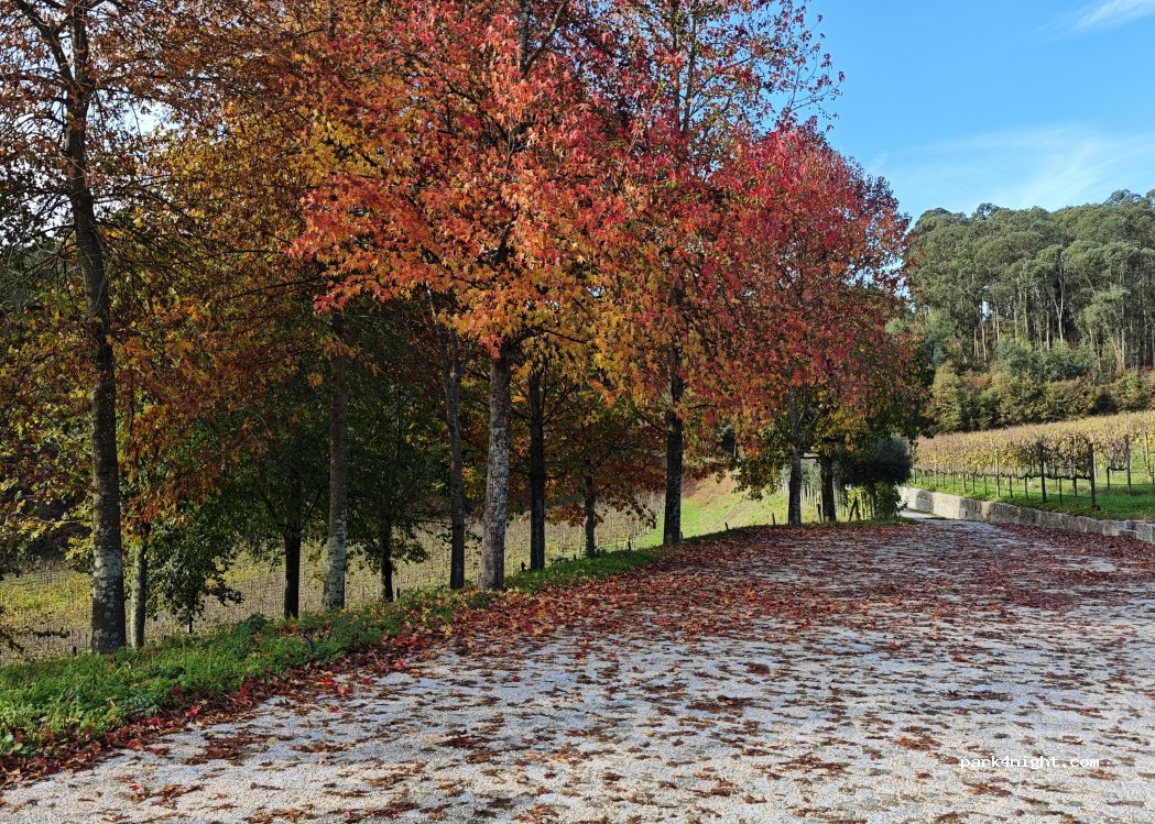 Quinta Picouto De Cima — foto