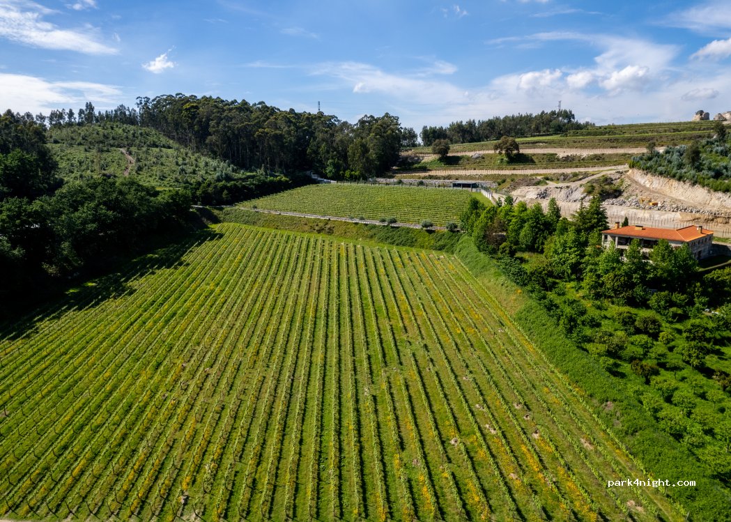 Quinta Picouto De Cima — foto 4
