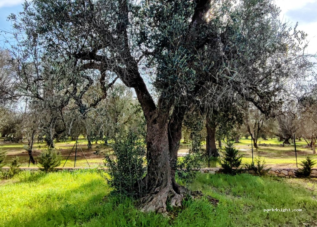 Trullo Amalia — foto