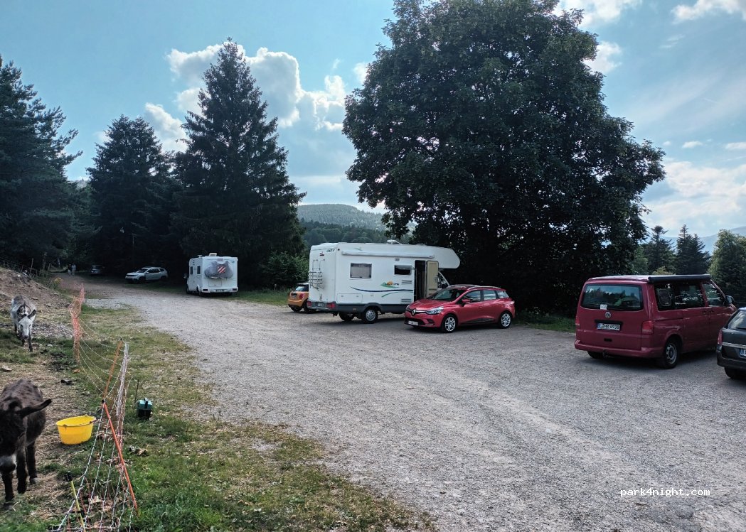 Auberge du Ried — foto 4