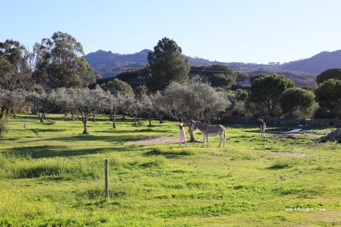Campscape Beira Marvao Alentejo — foto 3