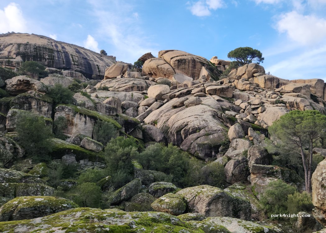 (48230) Bağarcık - — foto