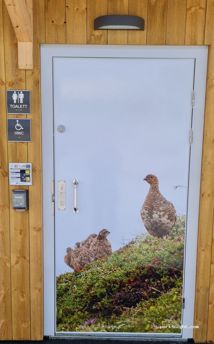(9022)  - 10 Sekundær Fylkesveg 53 — foto 3