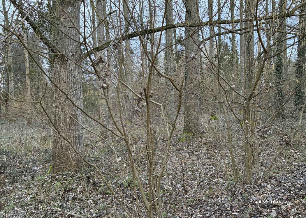 (72500) Montval-sur-Loir - Chemin de Coupepied — foto 2