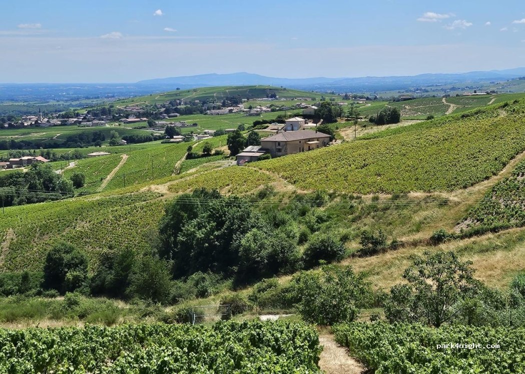 Domaine Savoye — foto