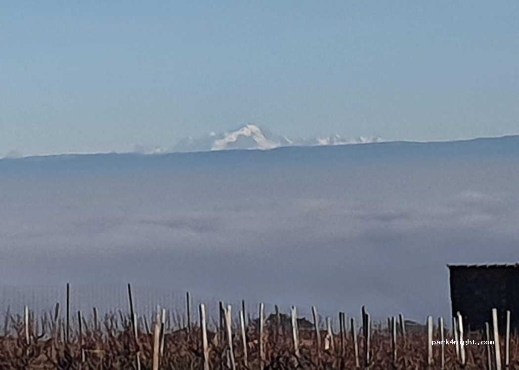 Domaine Savoye — foto 2