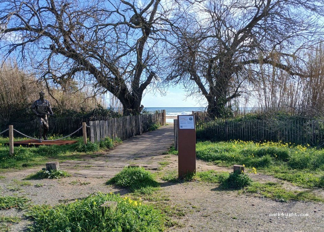 (83240) Cavalaire-sur-Mer - Boulevard de Saint-Raphaël — foto