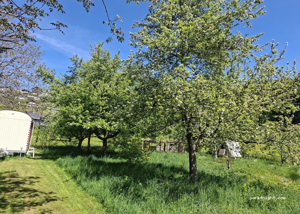 (6835) Gemeinde Zwischenwasser - Ifilar 1 — foto 5