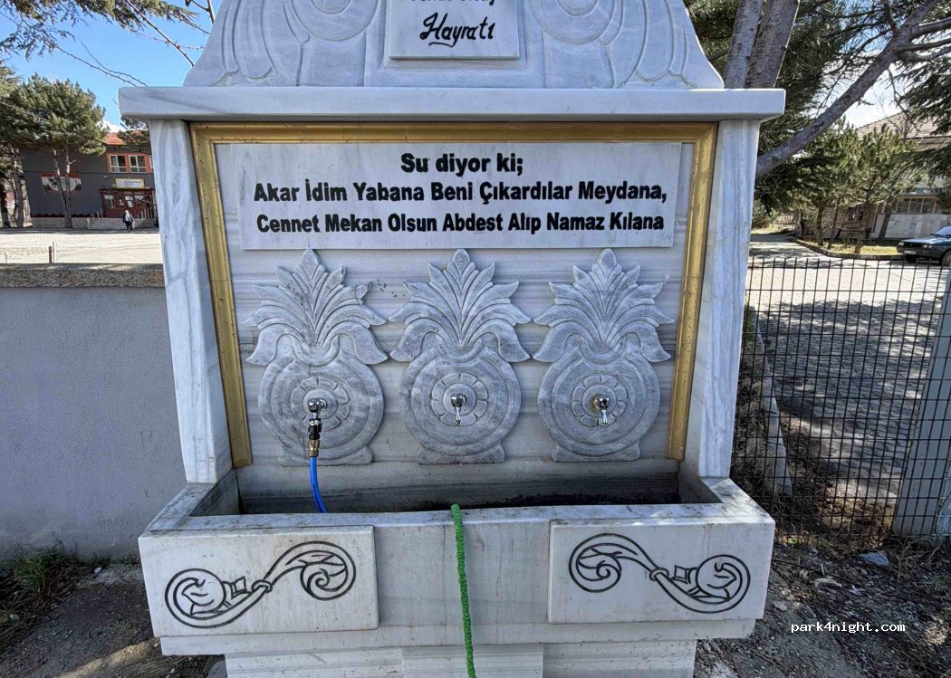(03702) Karamık Karacaören - 03-27 — foto