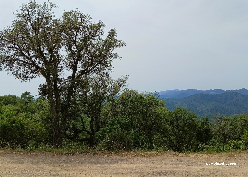 (83600) Fréjus - Piste de Cante Perdrix — foto 3