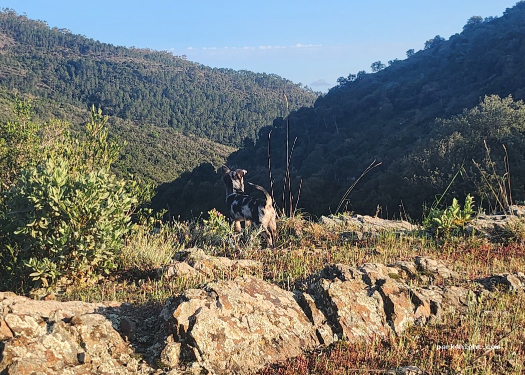(83600) Fréjus - Piste de Cante Perdrix — foto 4