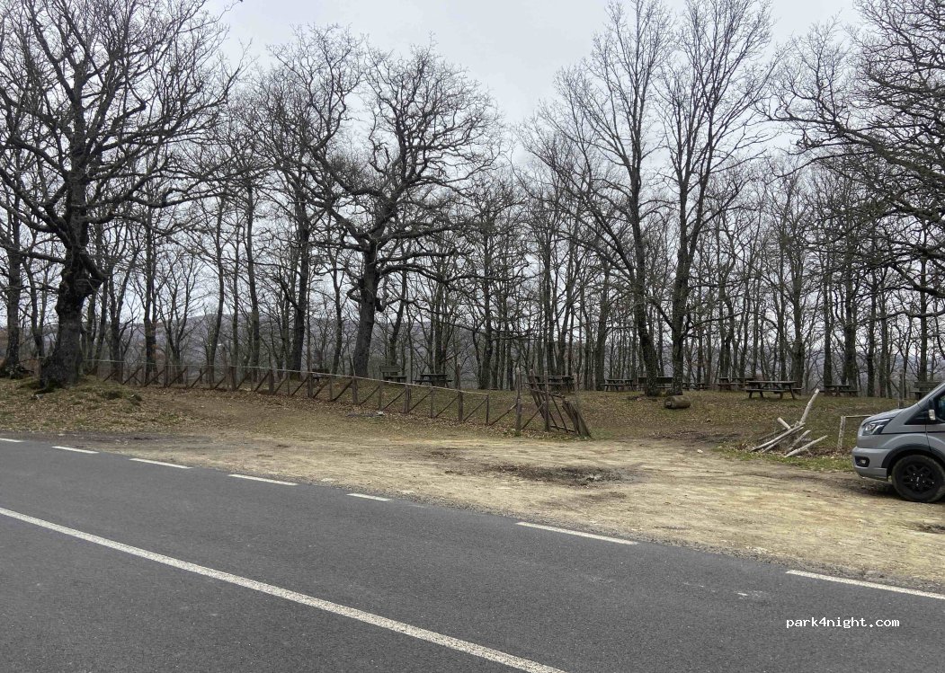 (98033) Cesarò - Strada statale di Cesarò — foto
