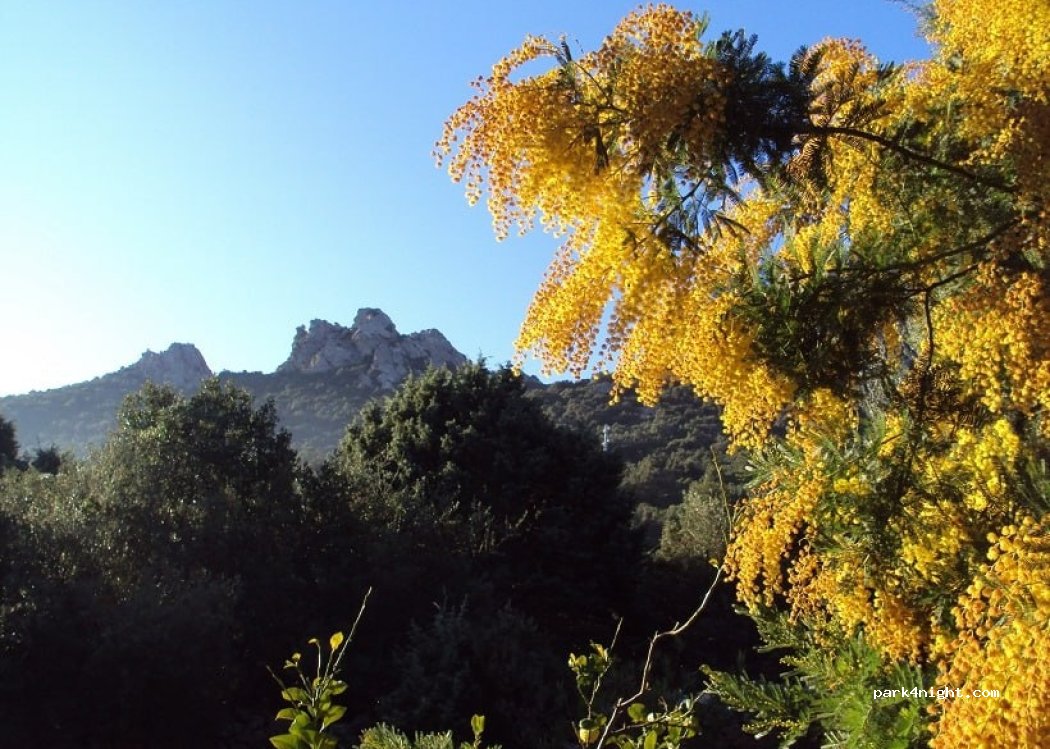 (07026) Olbia - 1 Via Paluneddu — foto 4