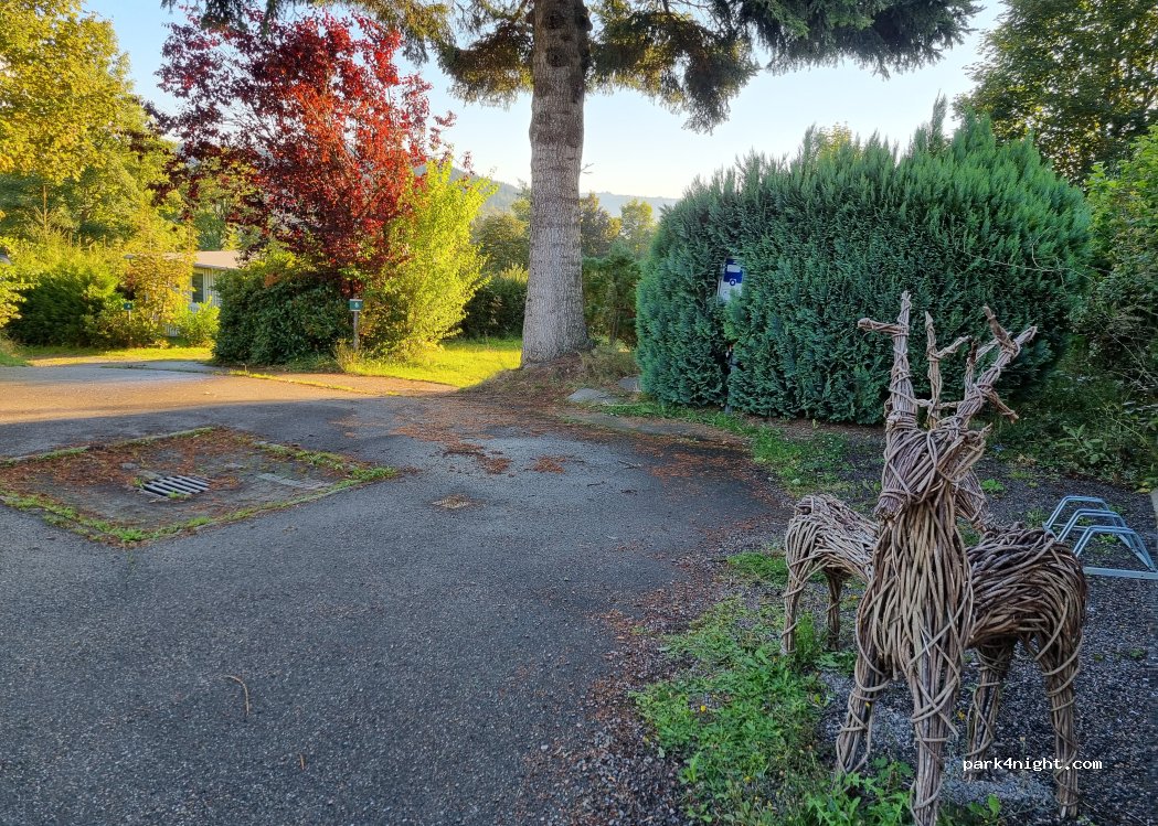 Camping Bühlhof — foto 3