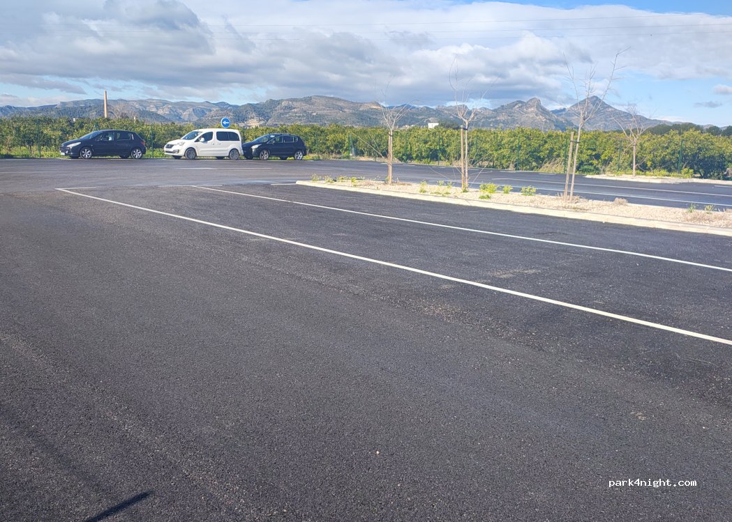 (46714) Palmera - Carrer Mestral — foto 2