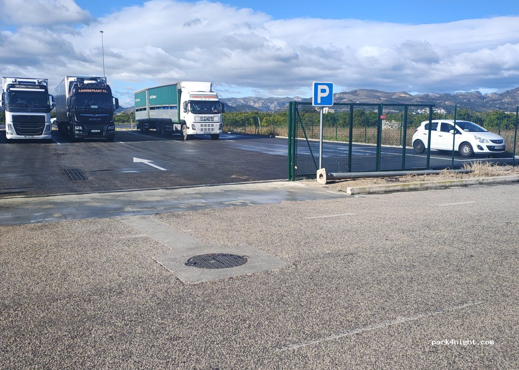 (46714) Palmera - Carrer Mestral — foto 3
