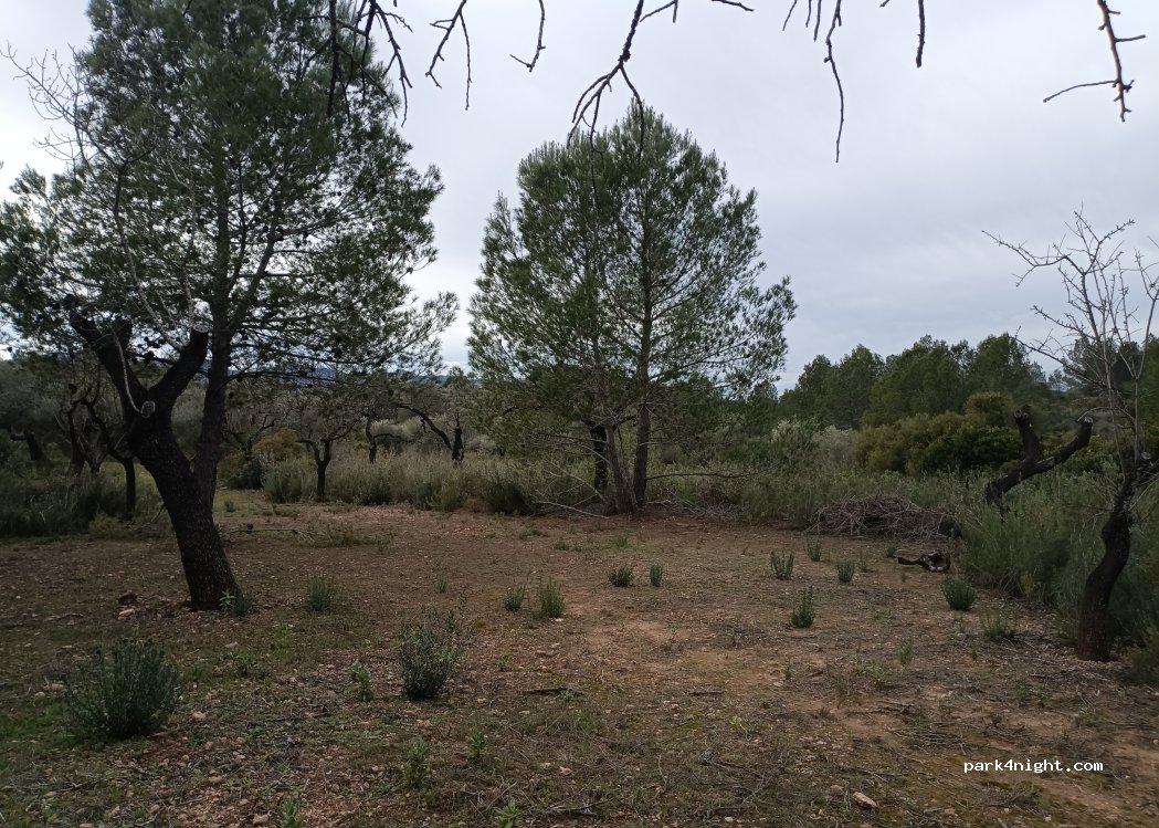 (43320) Tivissa - — foto