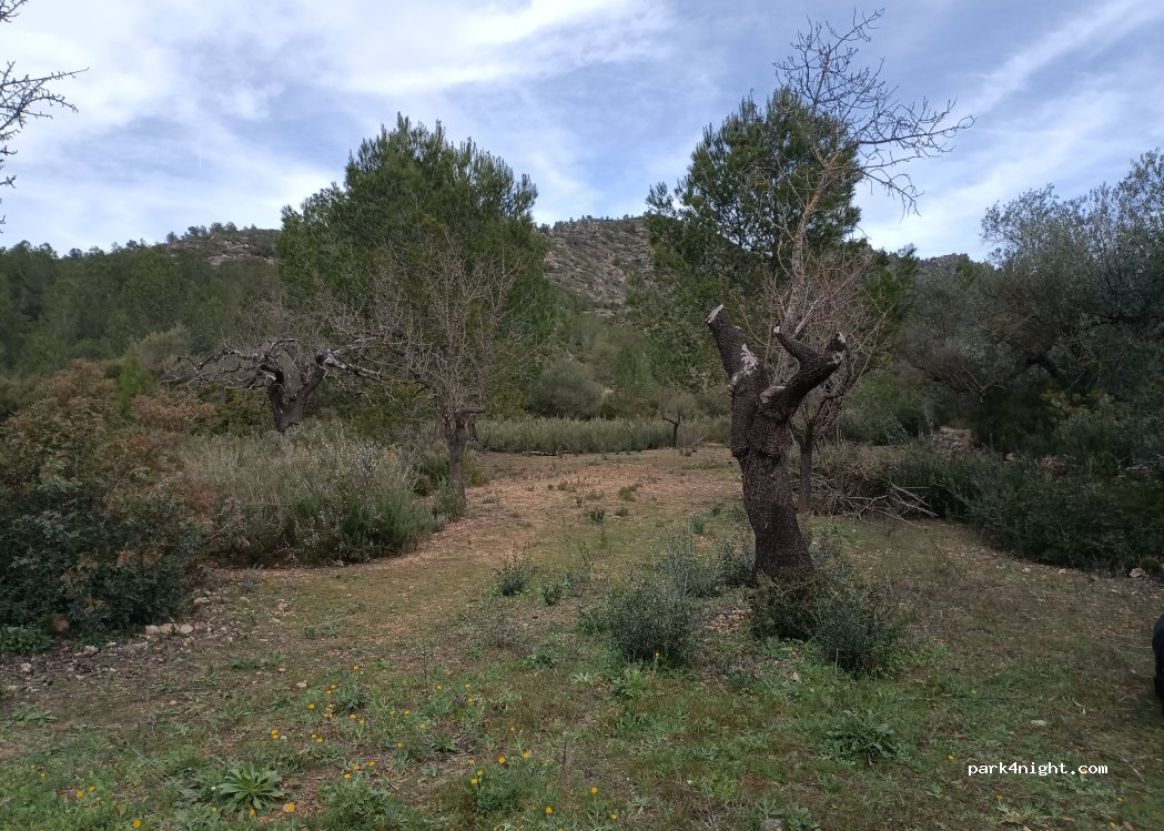 (43320) Tivissa - — foto 2