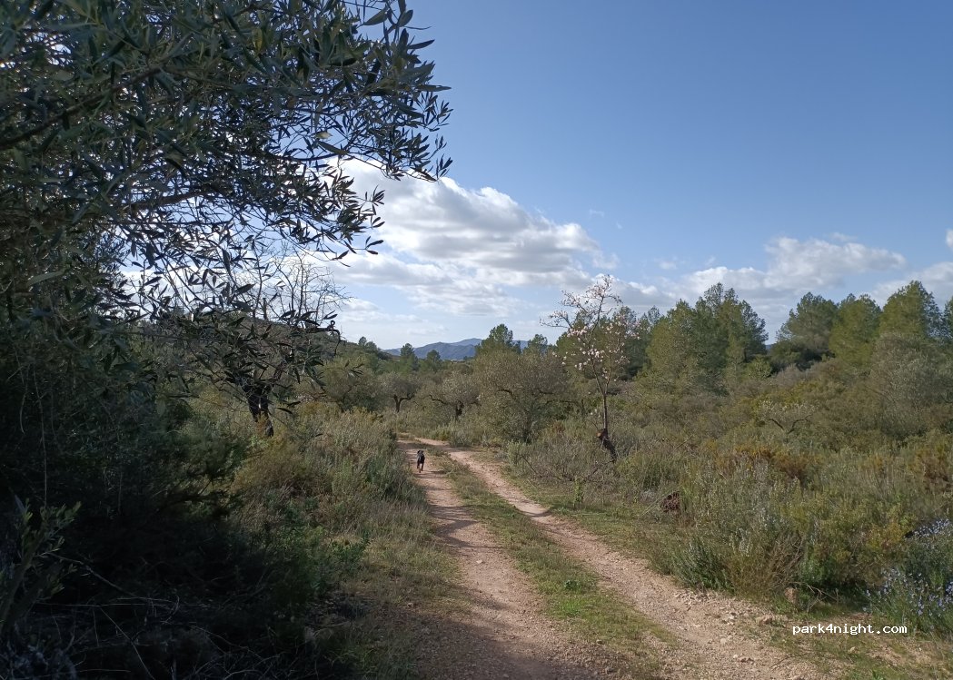 (43320) Tivissa - — foto 3