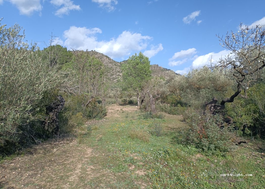 (43320) Tivissa - — foto 5