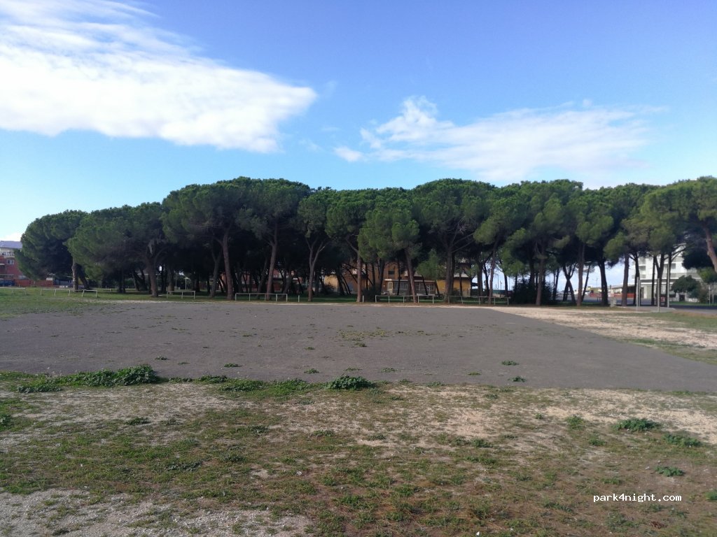 (01016) Lido di Tarquinia - Viale delle Sirene — foto