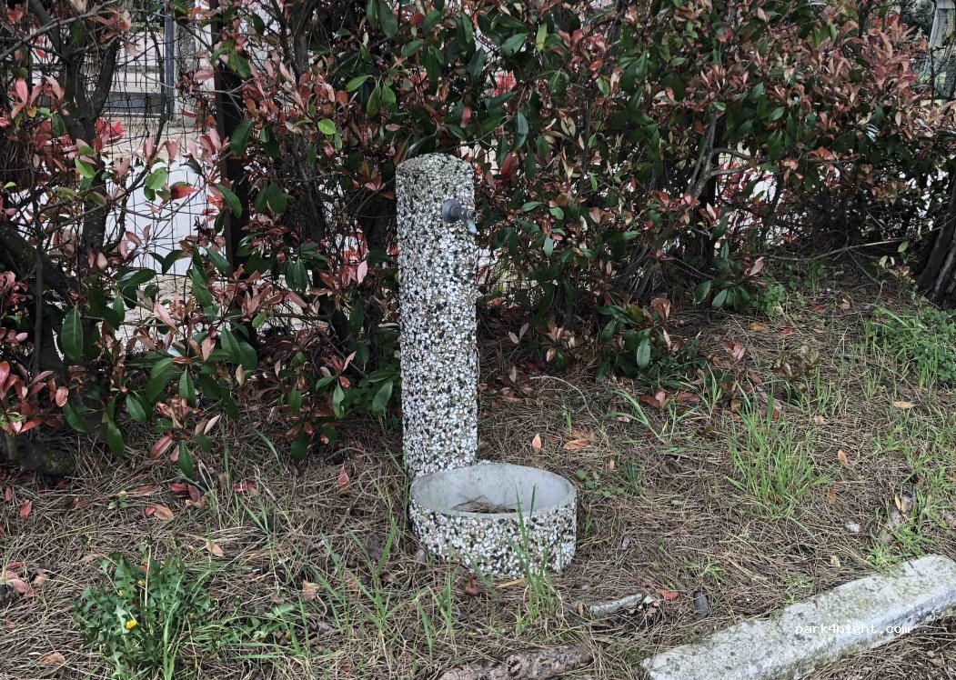 (45014) Porto Viro - Via Cao Marina — foto 3