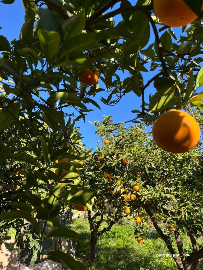 Über den Dächern von Andalusien — foto 4