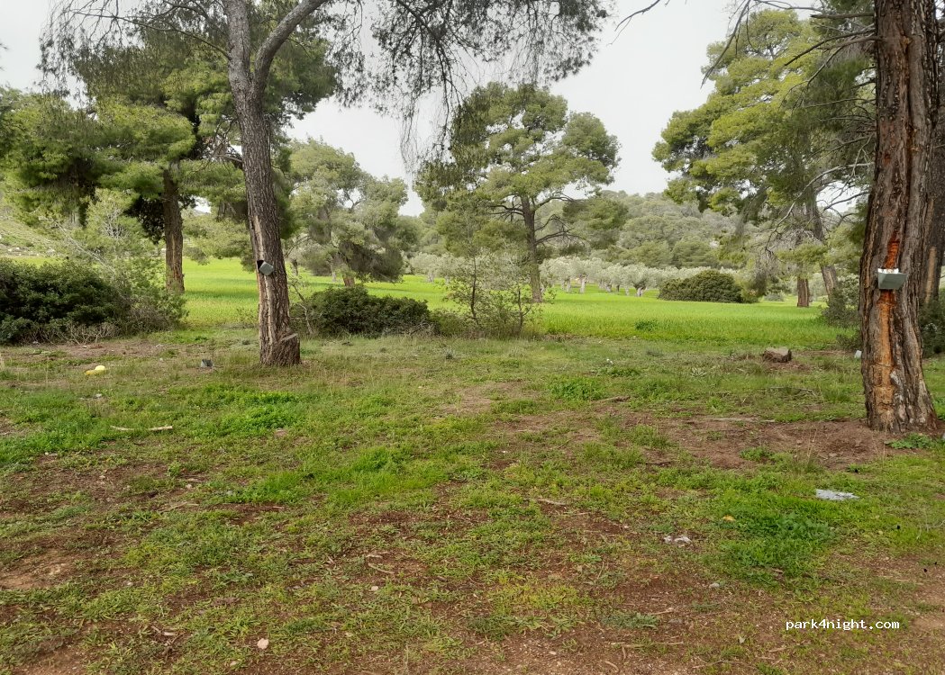 (203 00) Municipal Unit of Loutraki - Perachora - Περαχώρα - Στραβά — foto 2