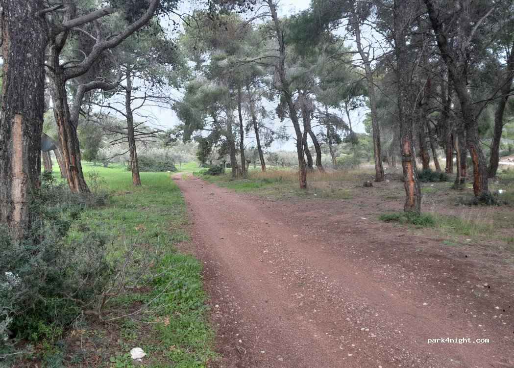 (203 00) Municipal Unit of Loutraki - Perachora - Περαχώρα - Στραβά — foto 3