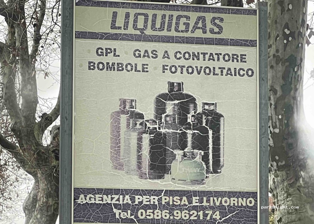 (57019) Collesalvetti - Via Roma 62 — foto