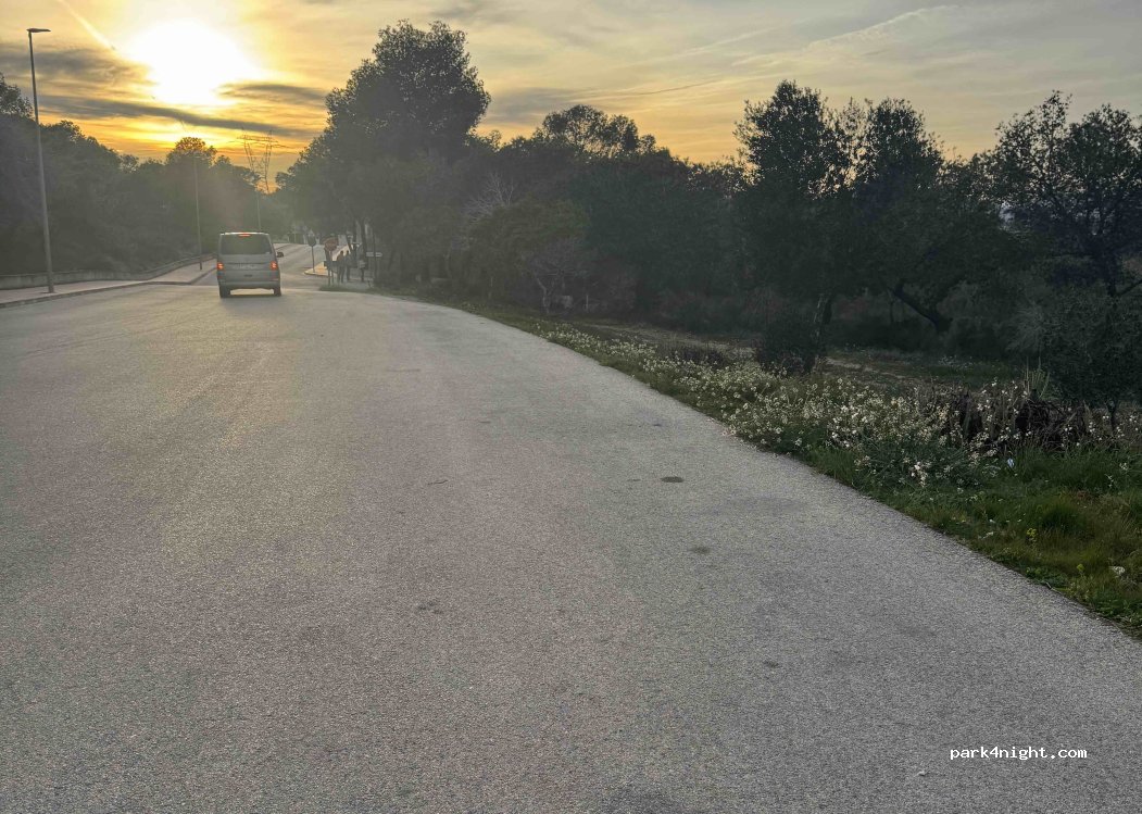 (03078) Rojales - Calle Limonar — foto 4
