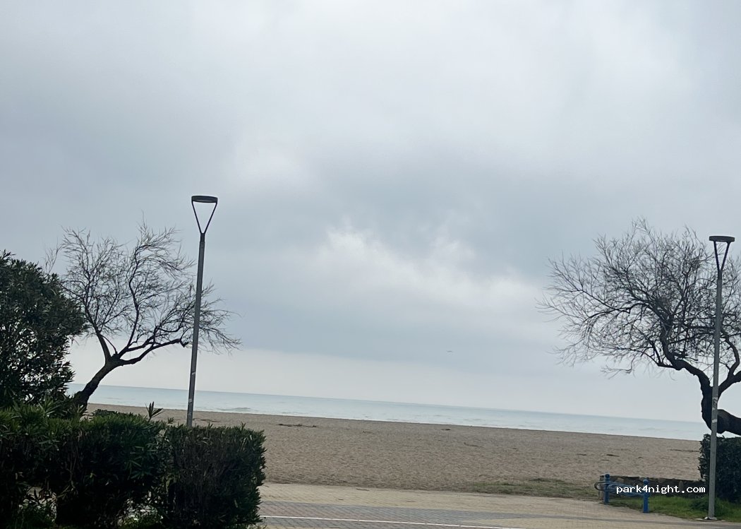 (66700) Argelès-sur-Mer - Allée des Pins — foto 4